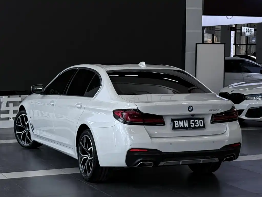 BMW 5 Series — миниатюра 4