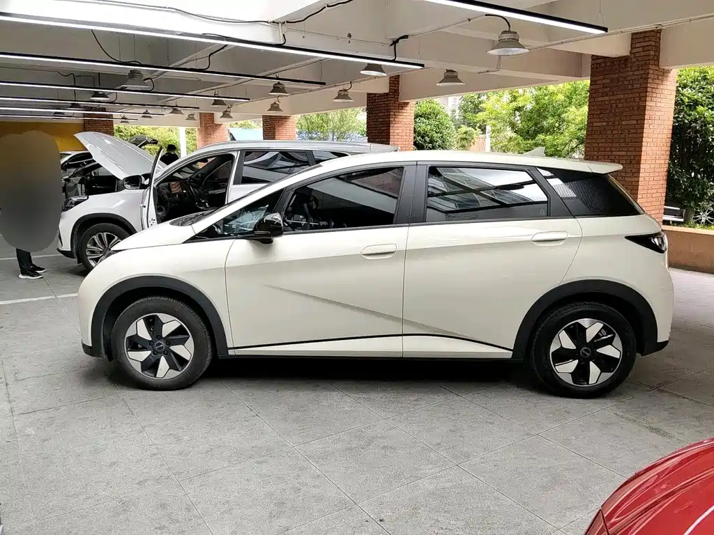 BYD Dolphin 2025 420km Freedom