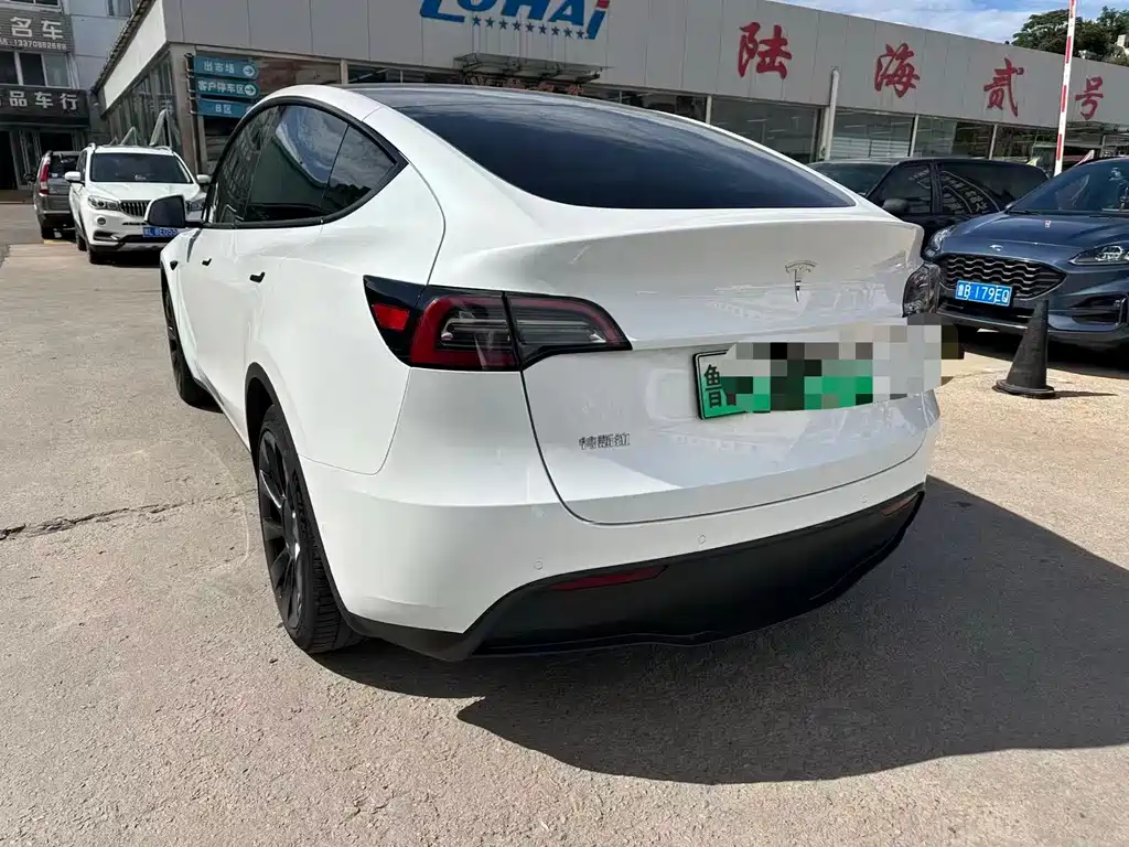 Tesla Model Y — миниатюра 7