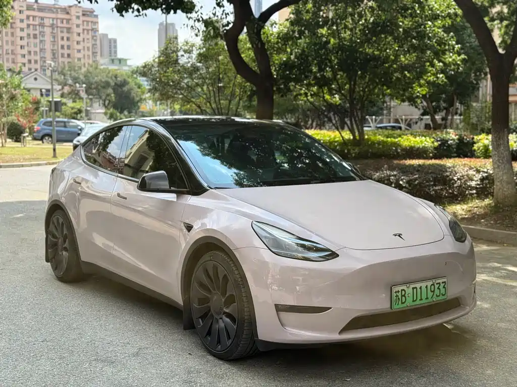 Tesla Model Y — миниатюра 3