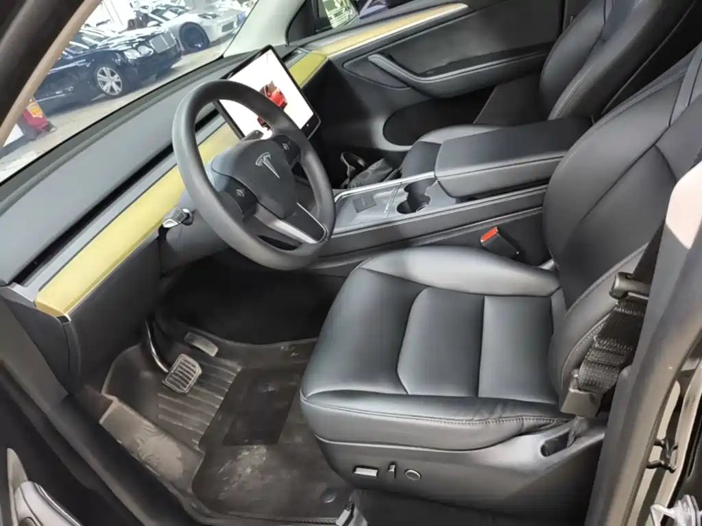 Tesla Model Y — миниатюра 15