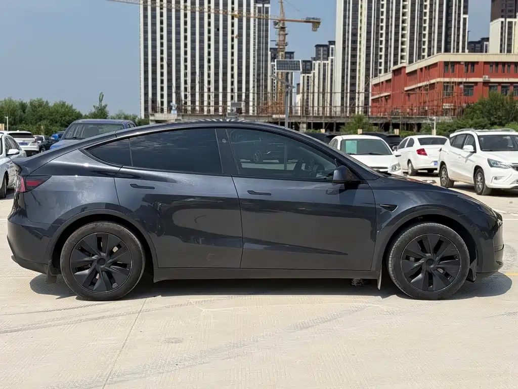 Tesla Model Y — миниатюра 7