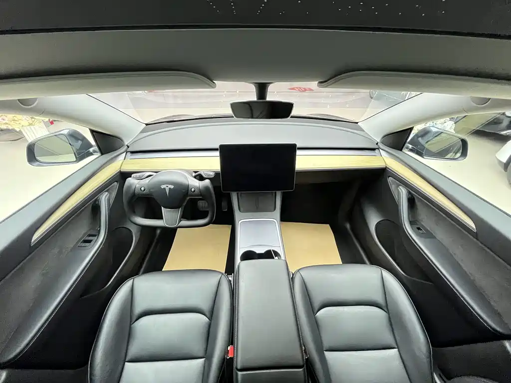 Tesla Model Y — миниатюра 6