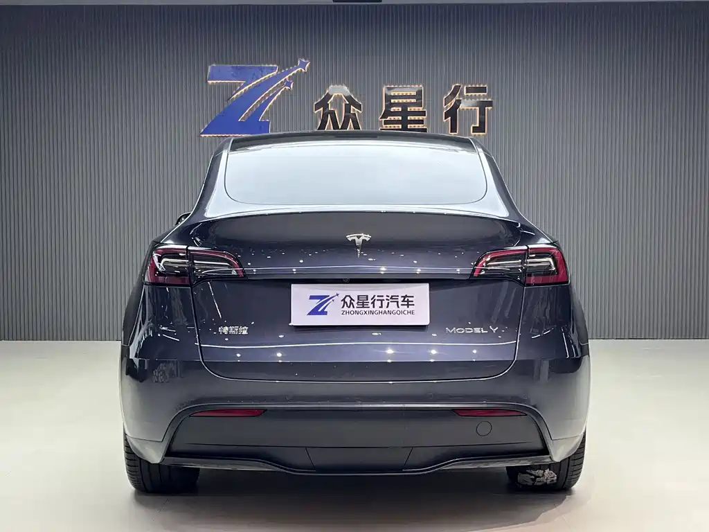 Tesla Model Y — миниатюра 11
