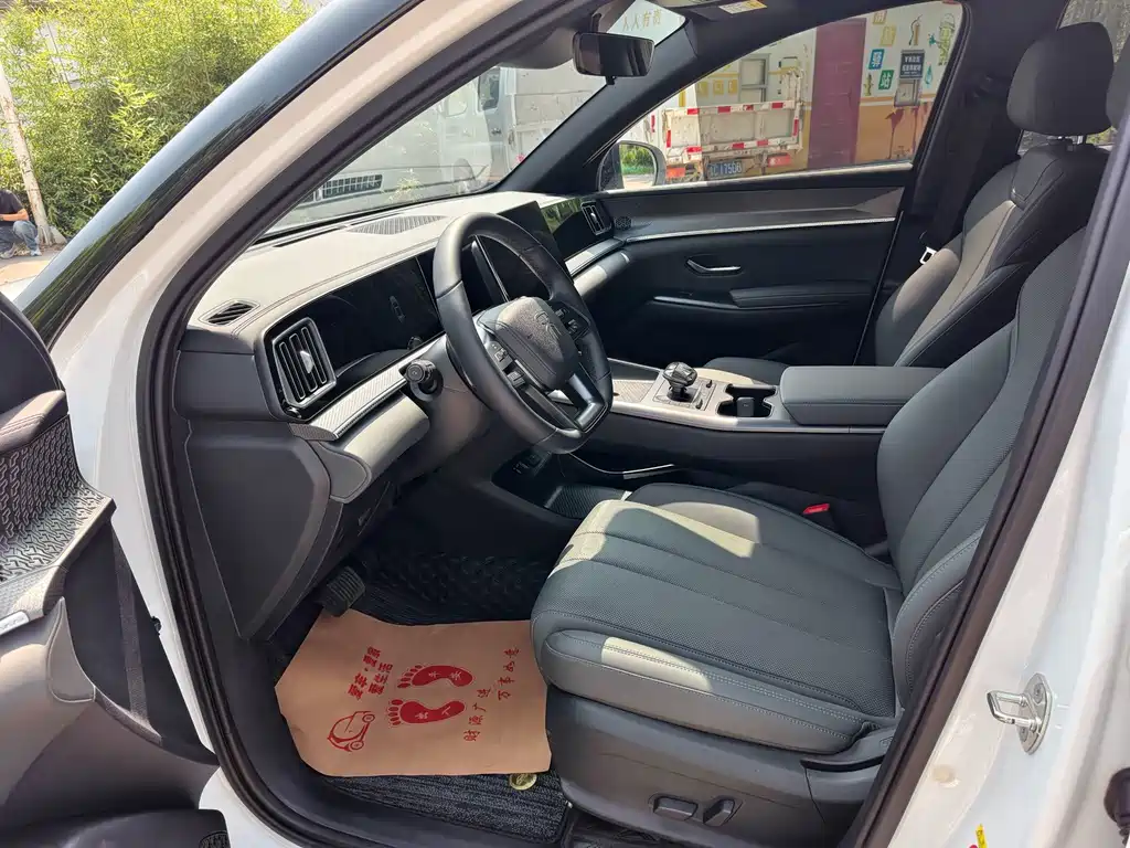 BYD Pro New Energy — миниатюра 6