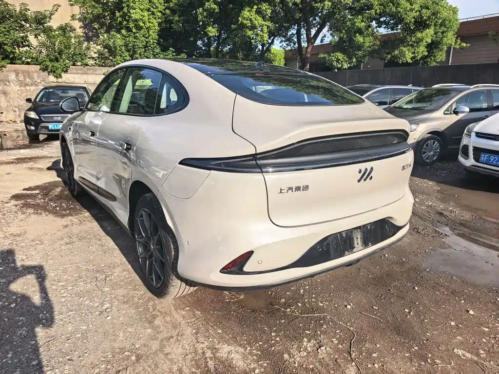 IM IM LS6 — миниатюра 11