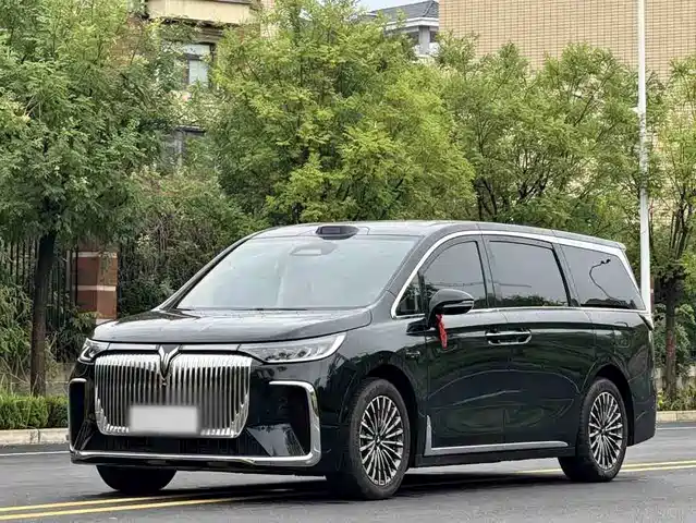 2025 Voyah Dream