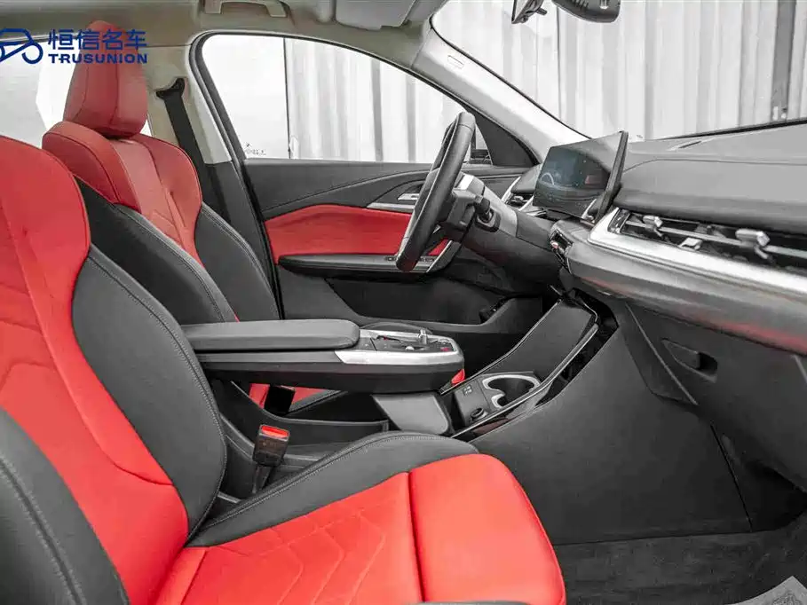 BMW X2 (Import) — миниатюра 15