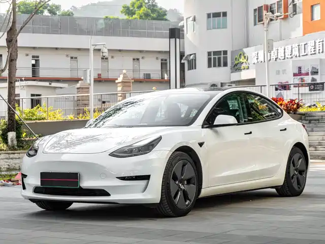 TESLA MODEL 3 2021
