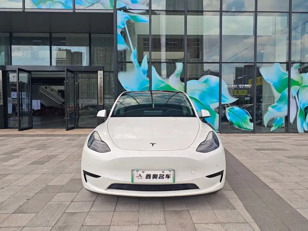 Tesla Model Y — миниатюра 2