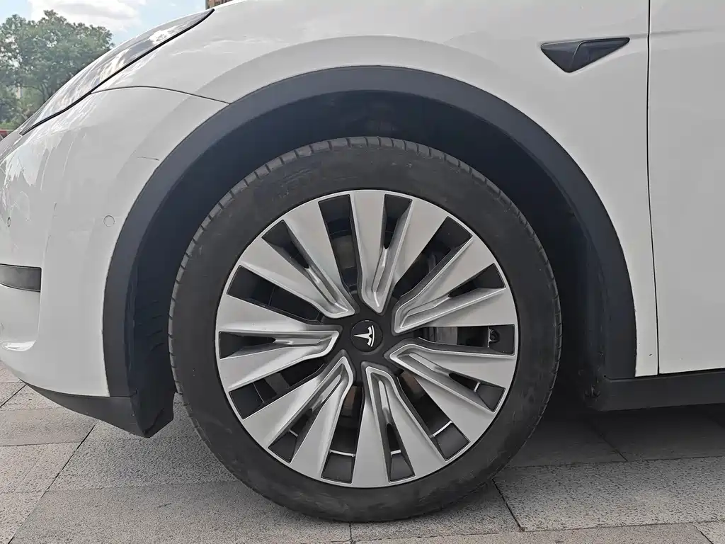 Tesla Model Y — миниатюра 10