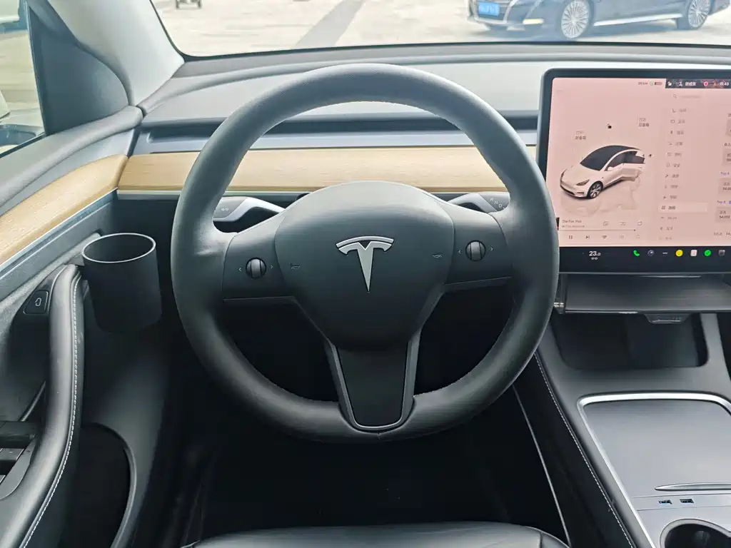 Tesla Model Y — миниатюра 15