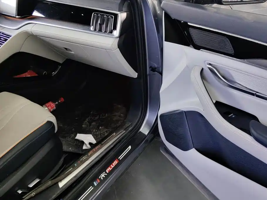 BYD PLUS New Energy — миниатюра 8