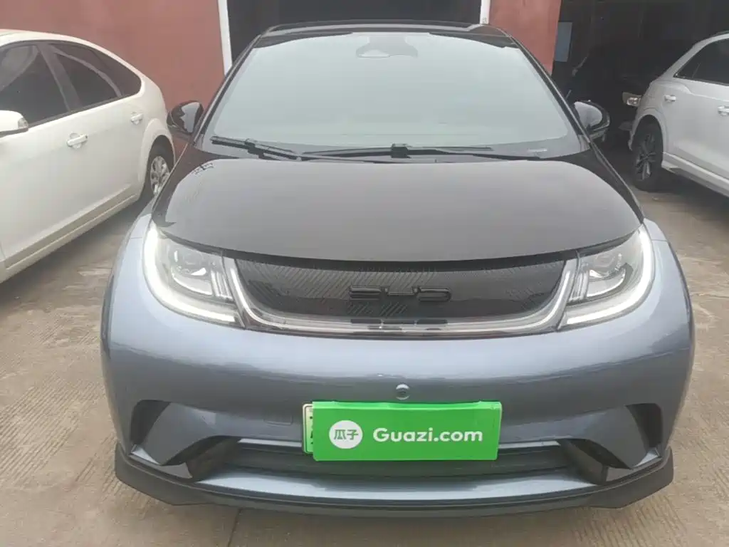 BYD Dolphin — миниатюра 3