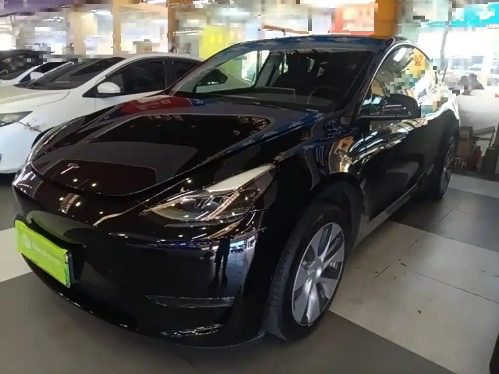 Tesla Model Y — миниатюра 2