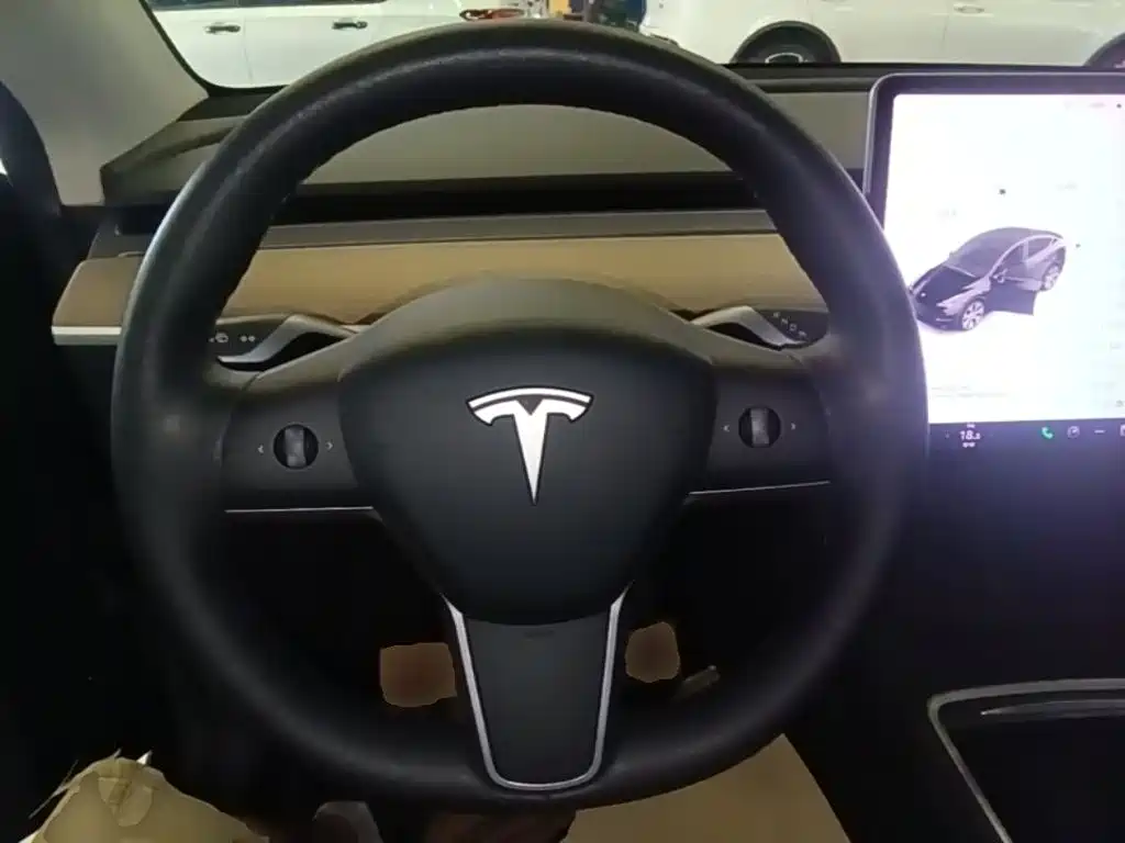 Tesla Model Y — миниатюра 11