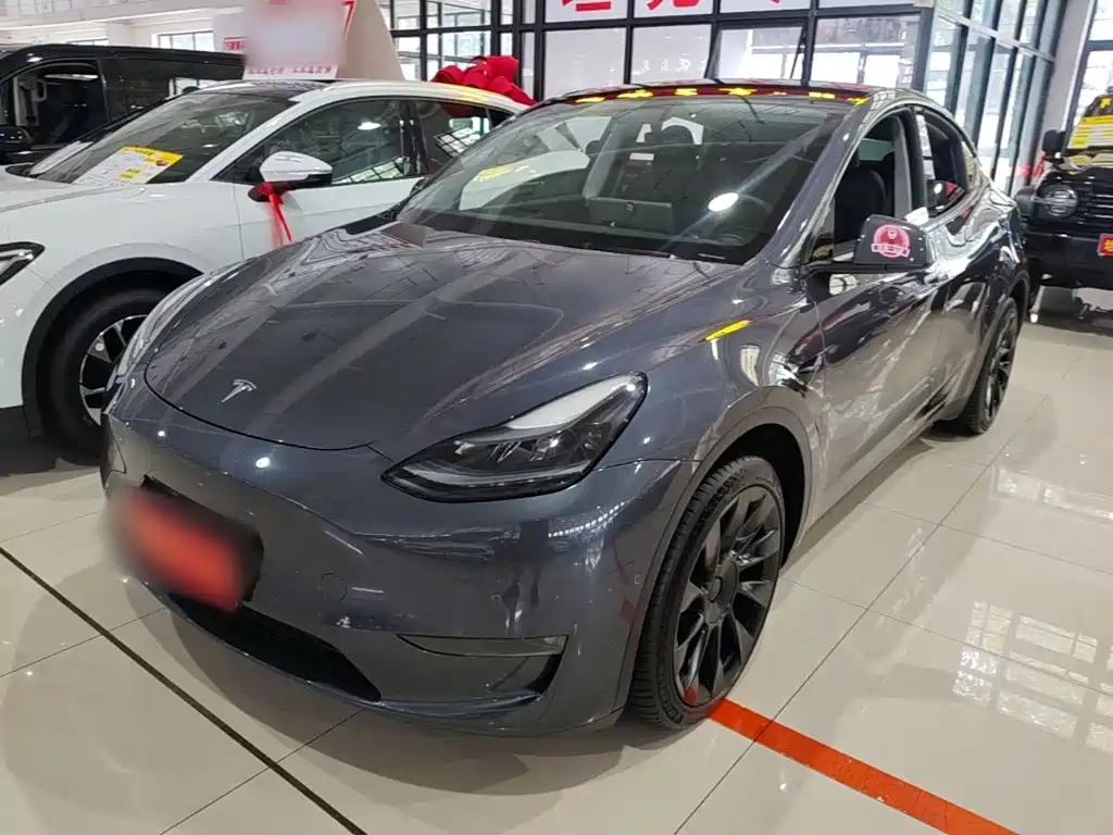 Tesla Model Y — миниатюра 2