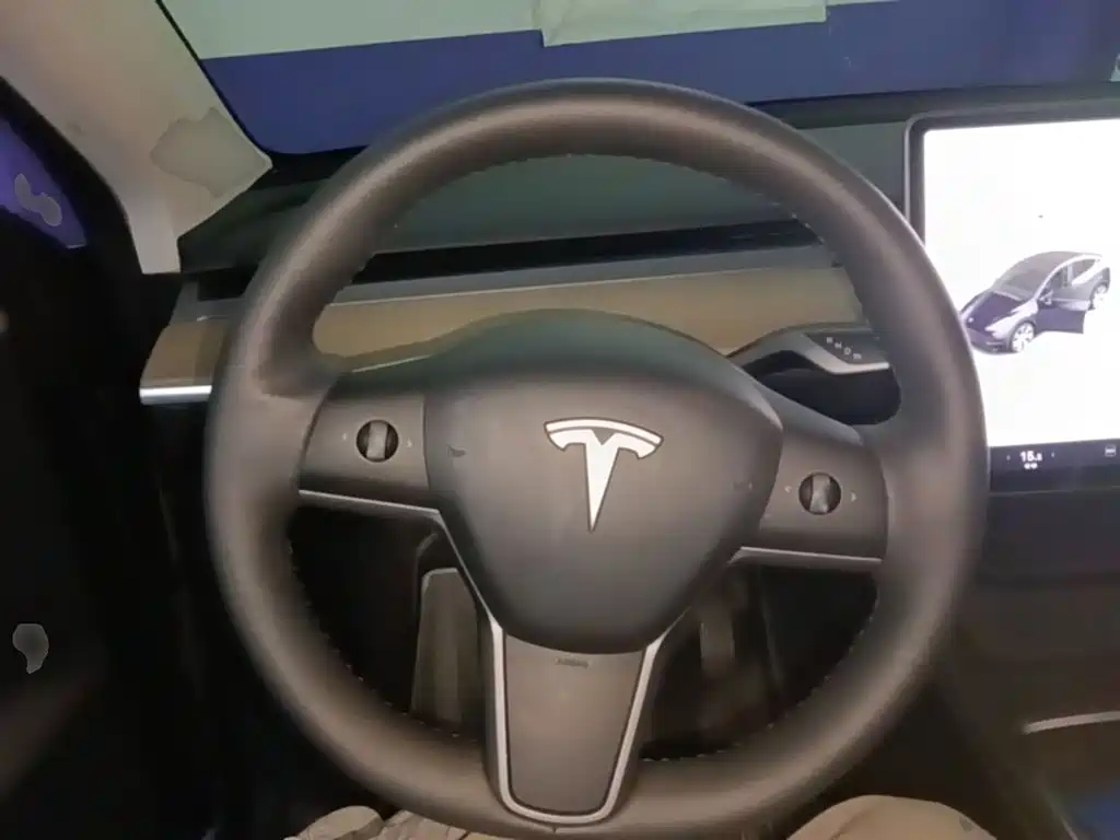 Tesla Model Y — миниатюра 11