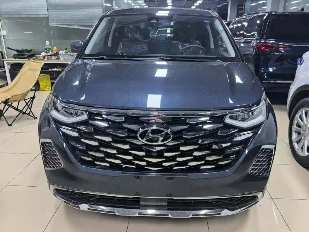 Hyundai Custo — миниатюра 3