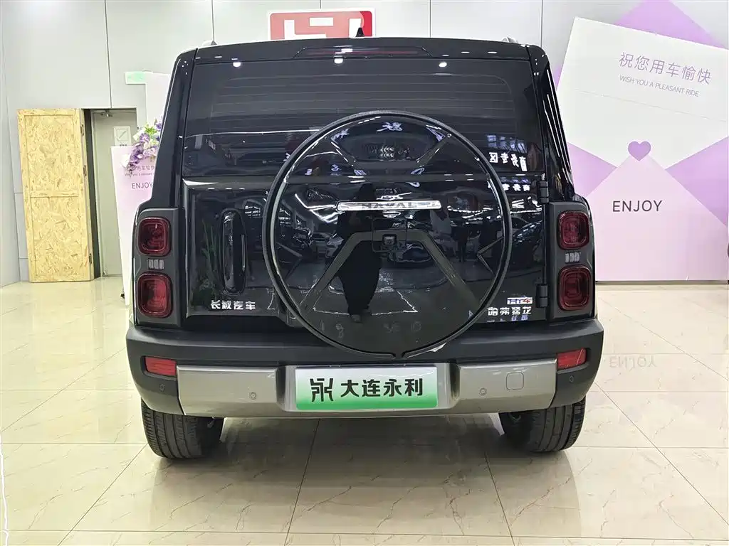 HAVAL RAPTORS NEW ENERGY