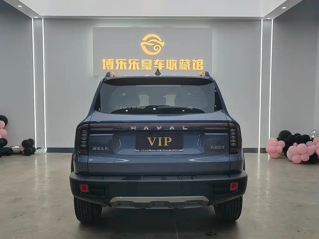 Haval Big Dog — миниатюра 5