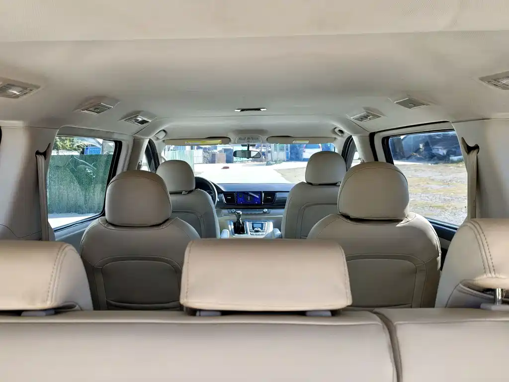 SAIC MAXUS CHASE G10