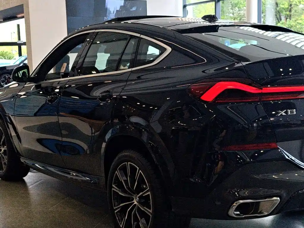 BMW X6 — миниатюра 8