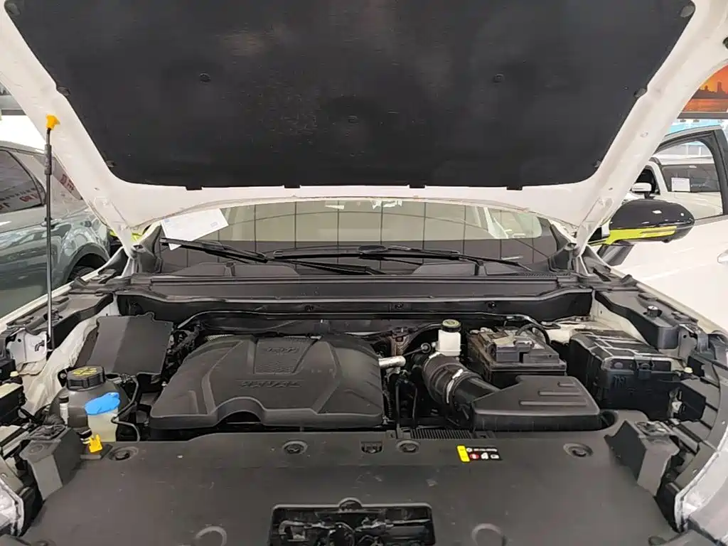Haval Chitu — миниатюра 16