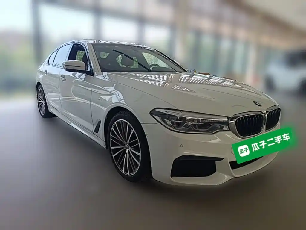 BMW 5 Series (Import) — миниатюра 6