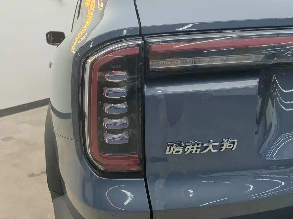 Haval Big Dog — миниатюра 21