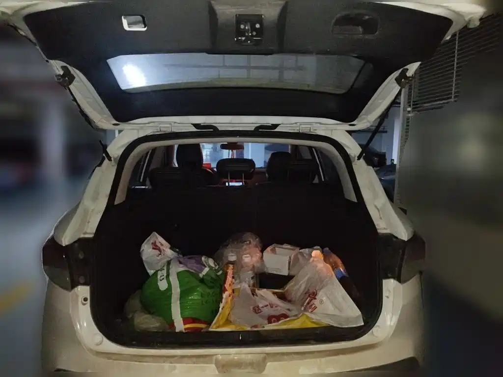 Soueast DX3 EV — миниатюра 15