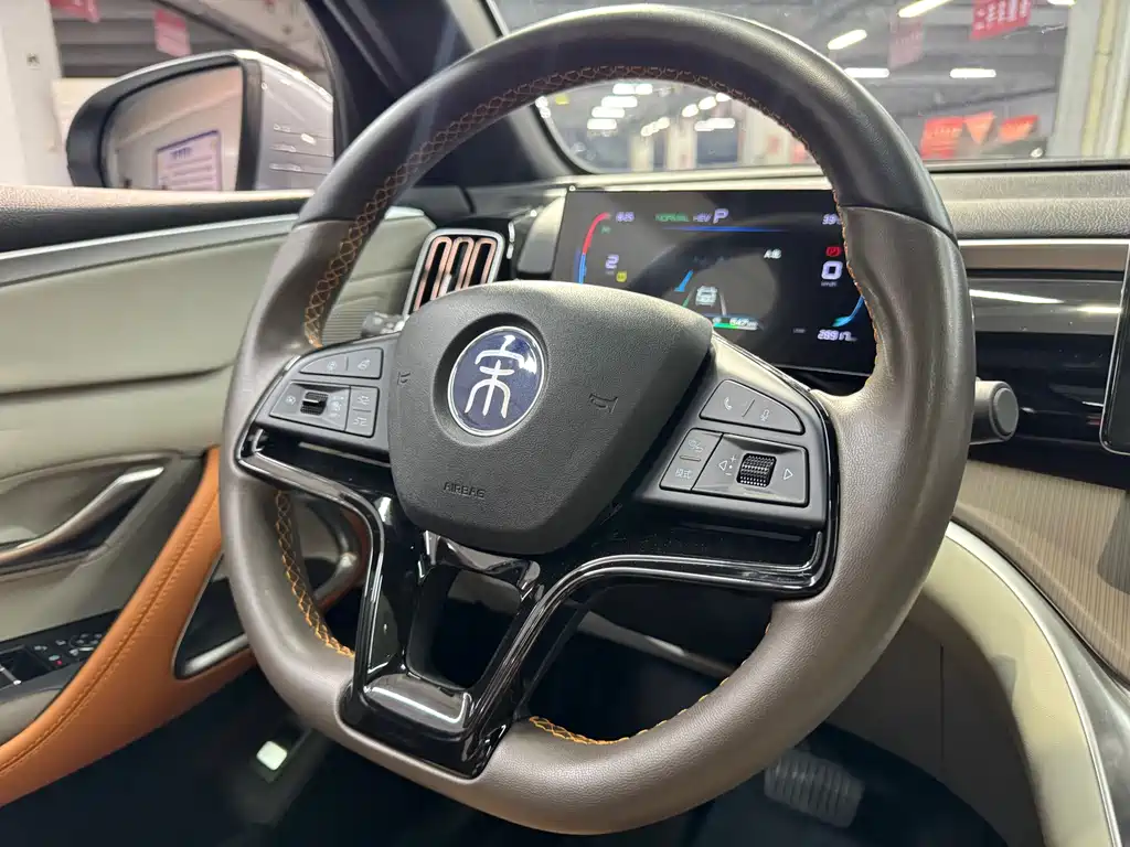 BYD Pro New Energy — миниатюра 13