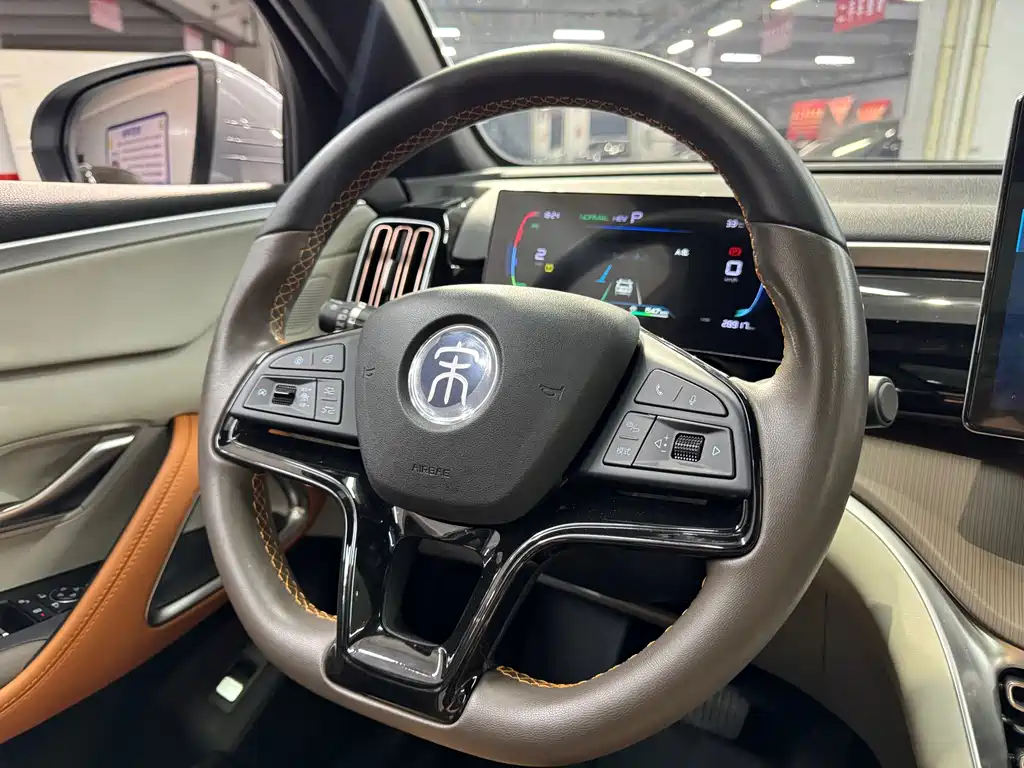 BYD Pro New Energy — миниатюра 8