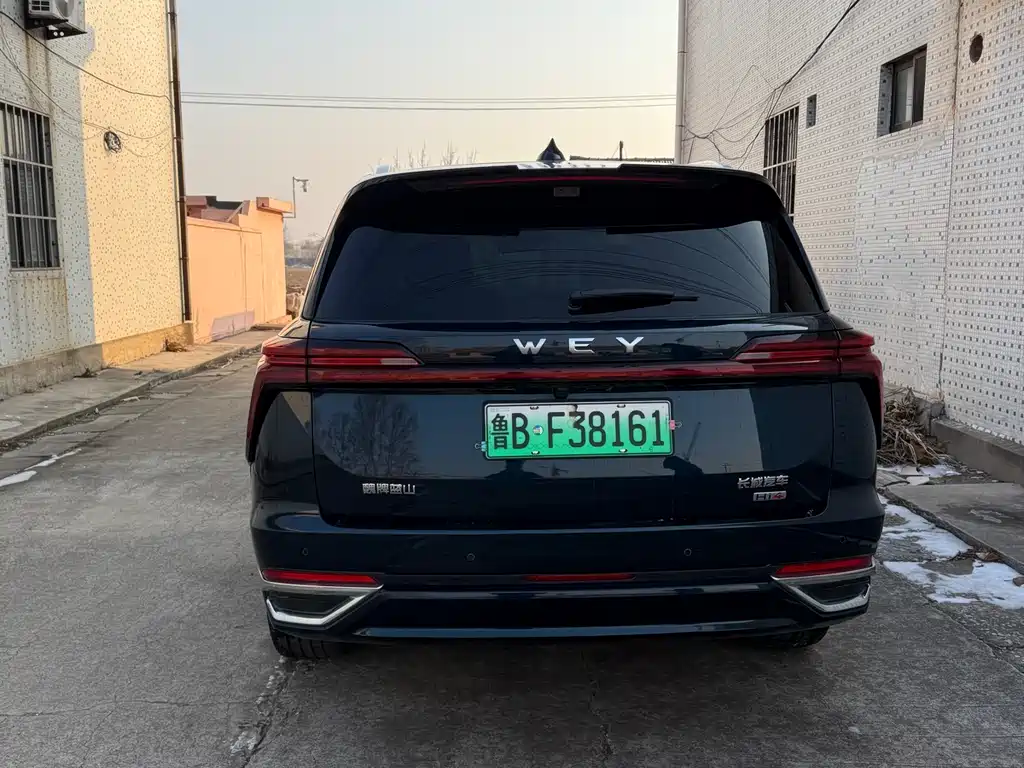 WEI PAI WEI BRAND BLUE MOUNTAIN