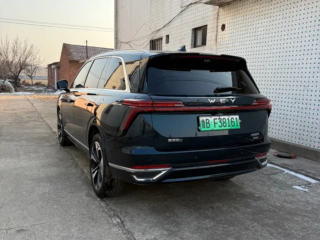 WEI PAI WEI BRAND BLUE MOUNTAIN