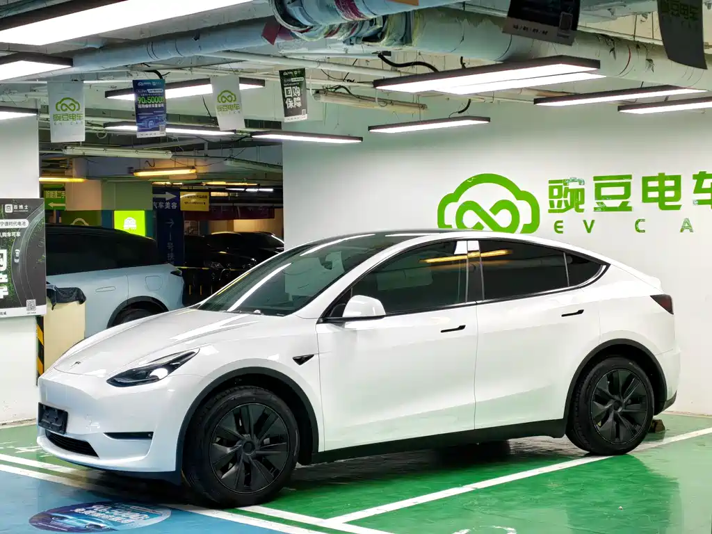 Tesla Model Y — миниатюра 2
