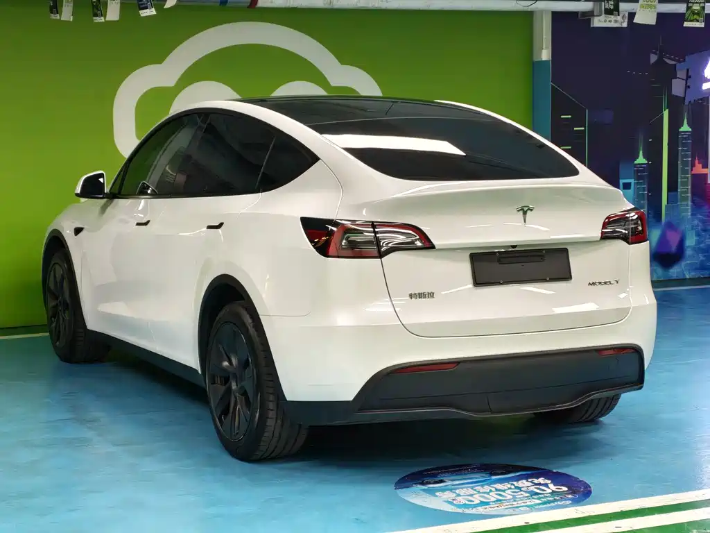 Tesla Model Y — миниатюра 14