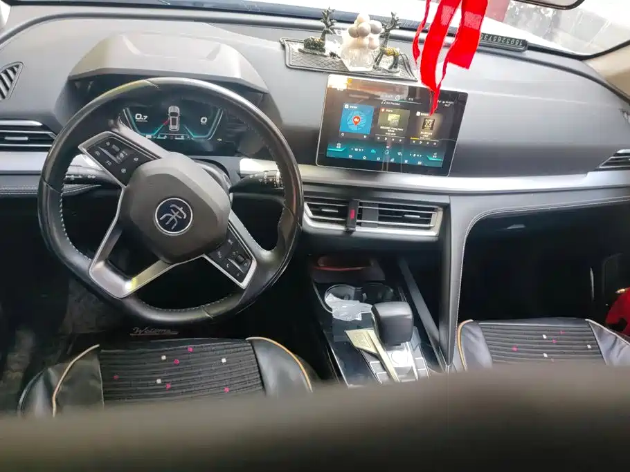 BYD Pro — миниатюра 12