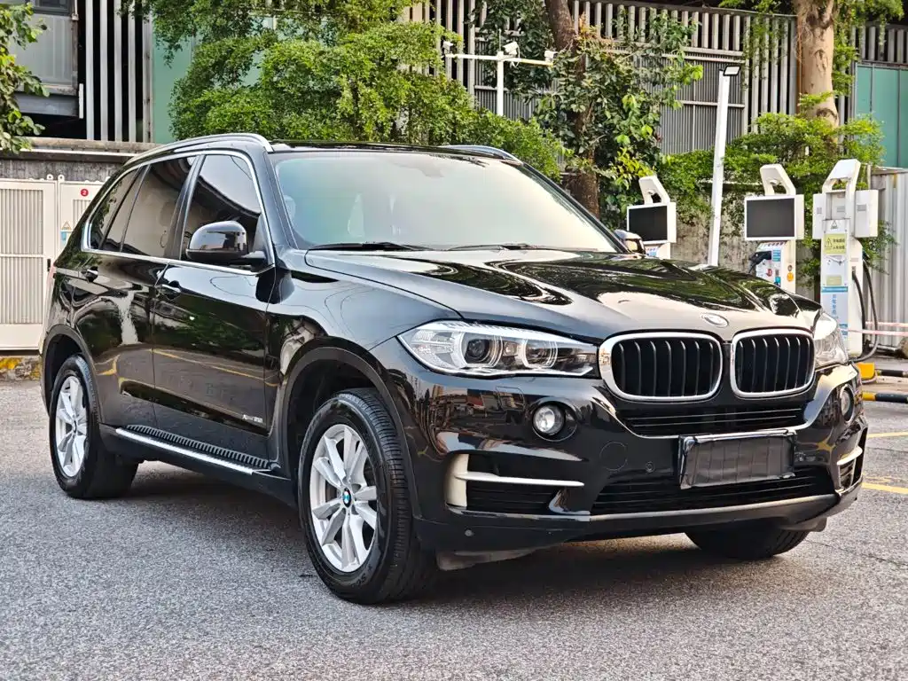 BMW X5 (Import) — миниатюра 3