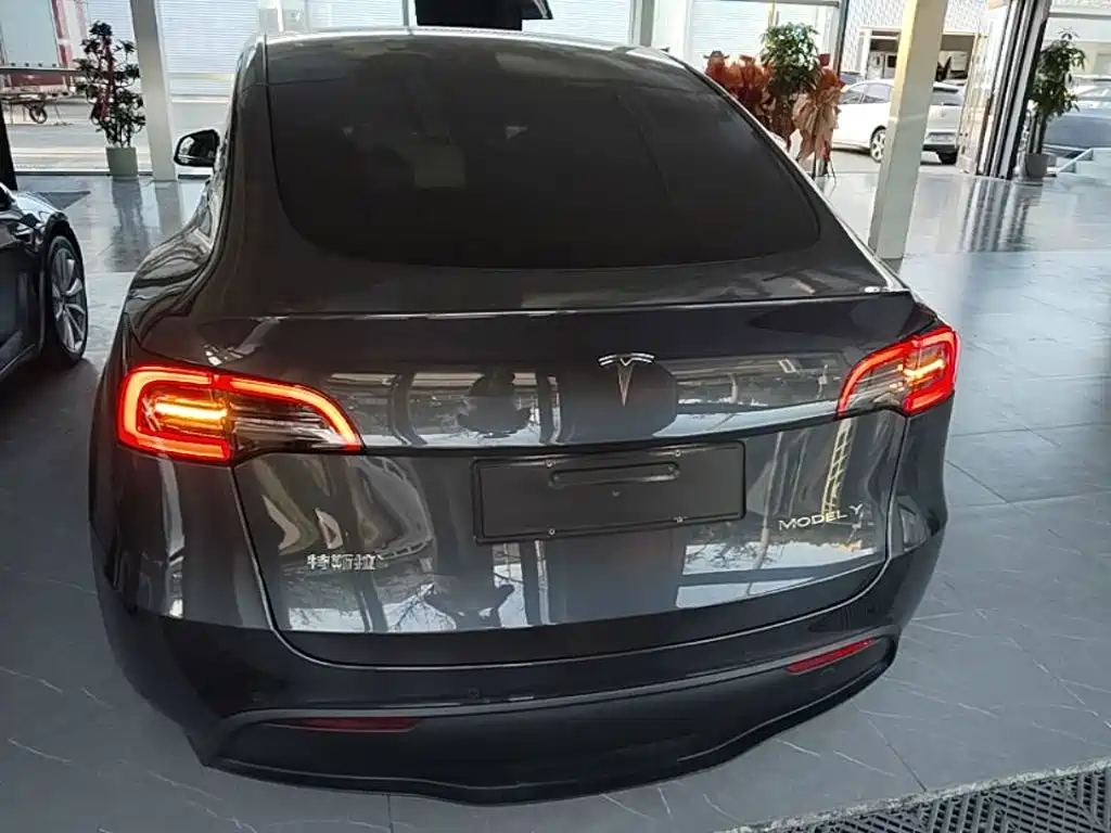 Tesla Model Y — миниатюра 6