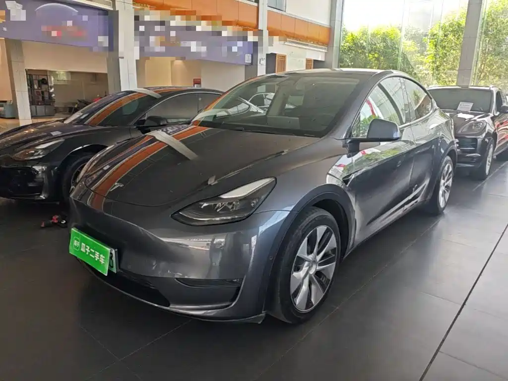 Tesla Model Y — миниатюра 2
