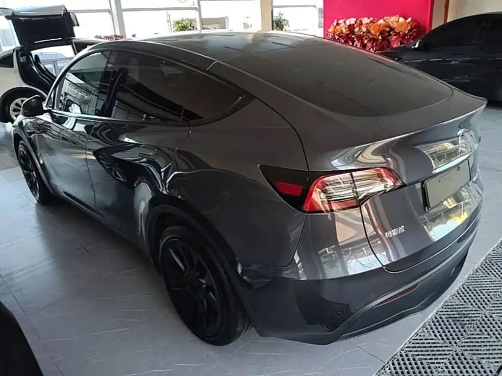 Tesla Model Y — миниатюра 5