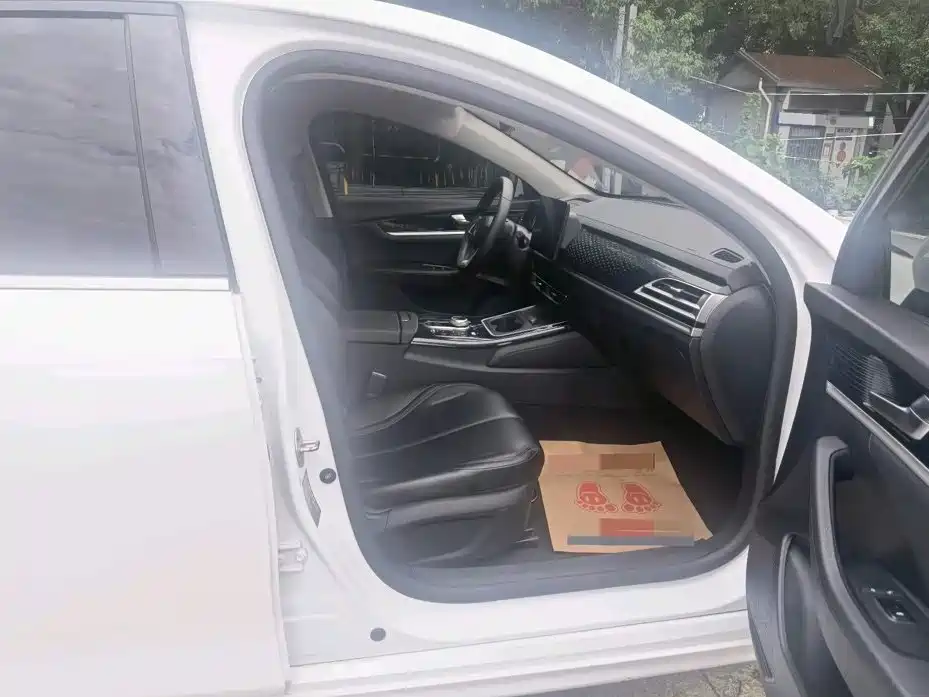 BYD Qin PLUS — миниатюра 12