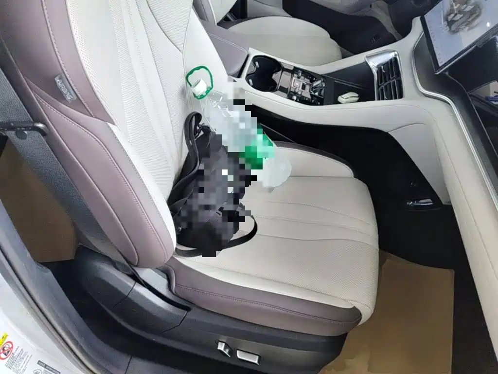 BYD PLUS New Energy — миниатюра 25