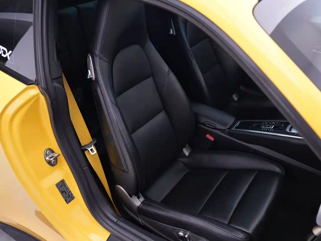 Porsche 911 — миниатюра 19