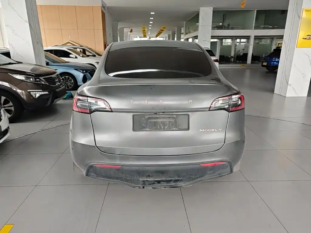 Tesla Model Y — миниатюра 6