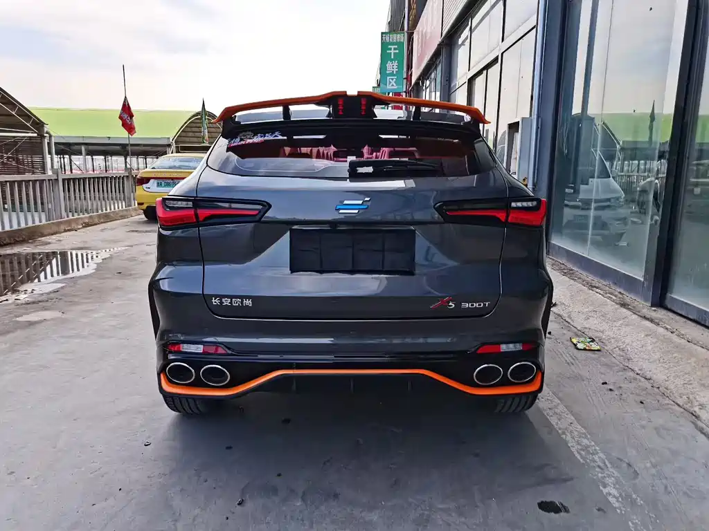 Oshan Oushang X5 — миниатюра 5