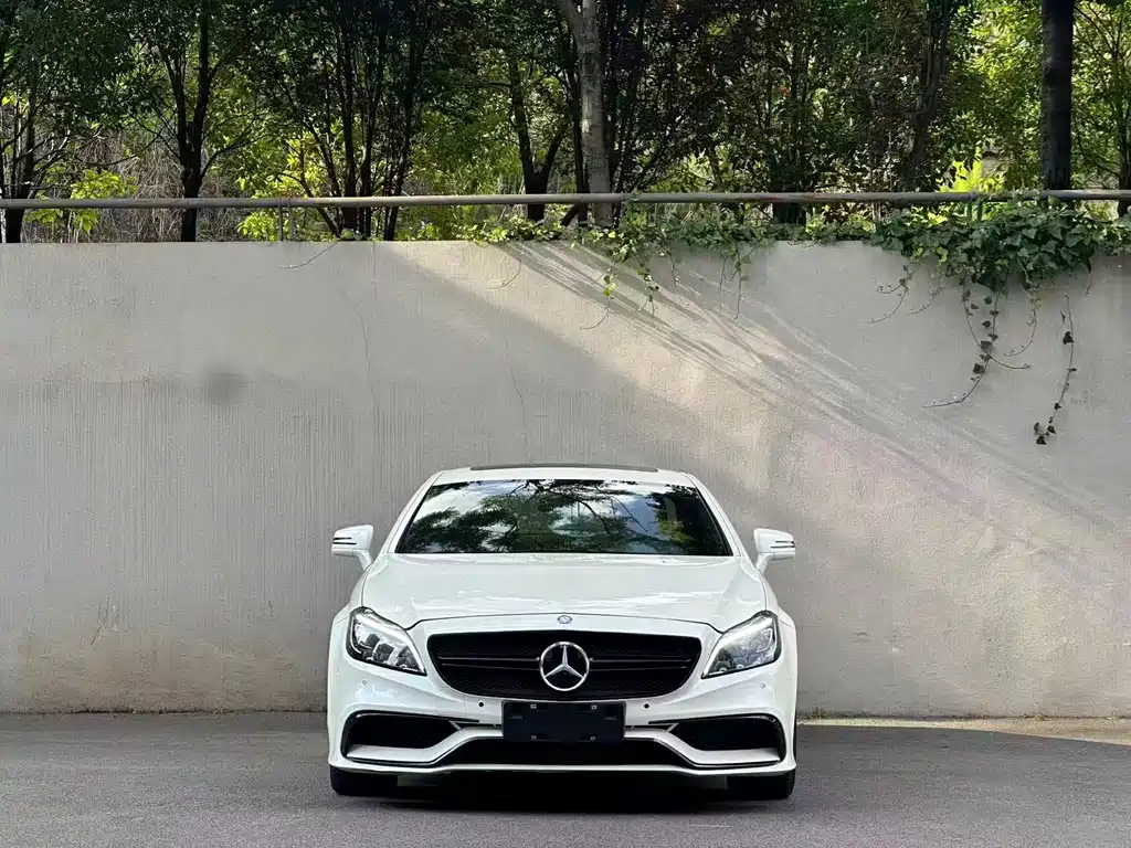 Mercedes-Benz CLS CLS 300 CGI, фото 2