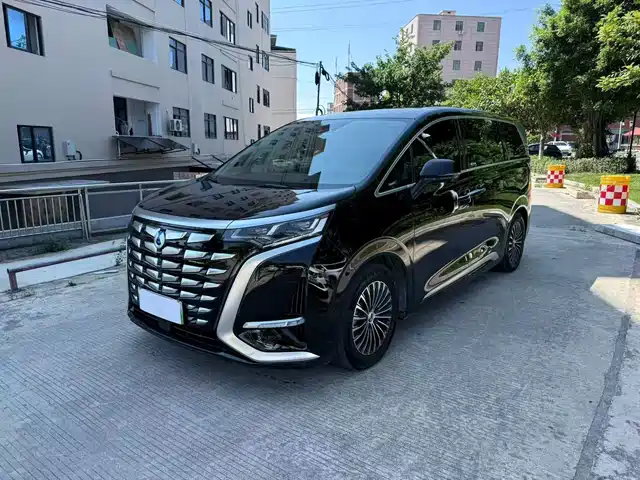 2024 Denza D9