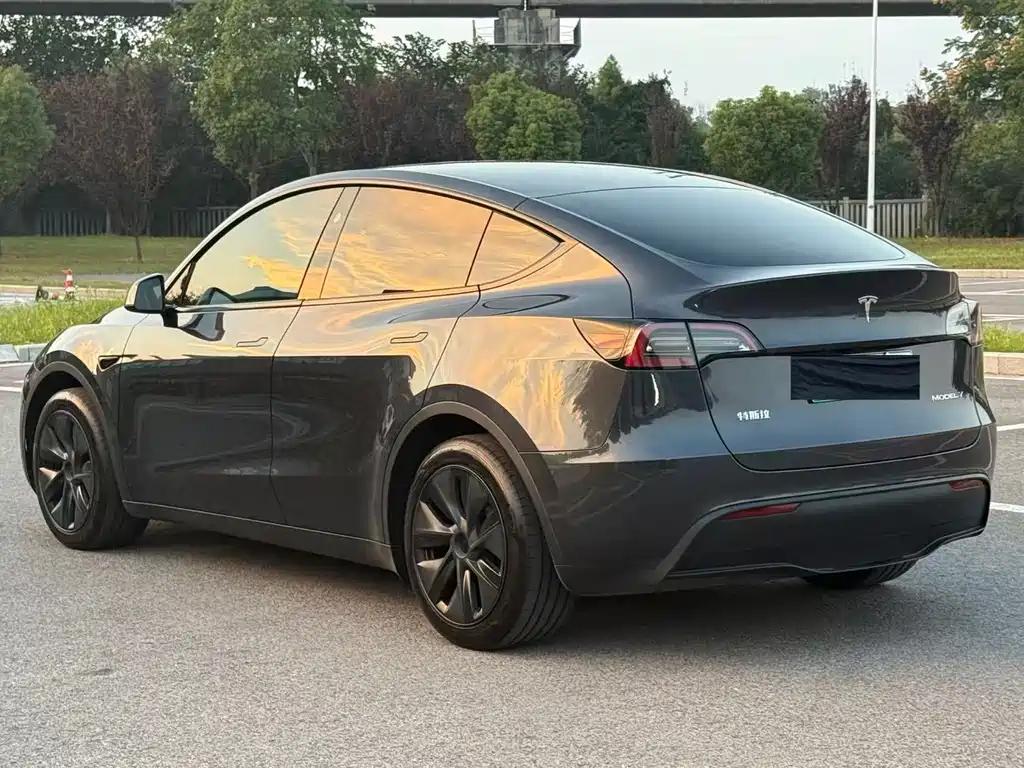 Tesla Model Y — миниатюра 3